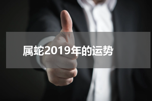 属蛇2019年的运势