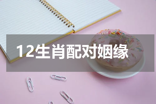 12生肖配对姻缘