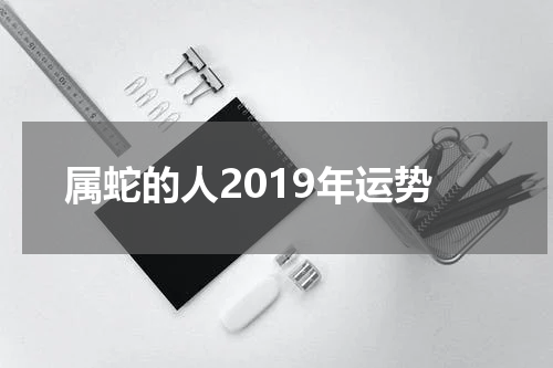 属蛇的人2019年运势