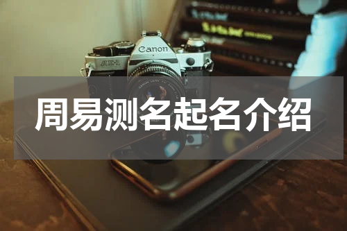 周易测名起名介绍
