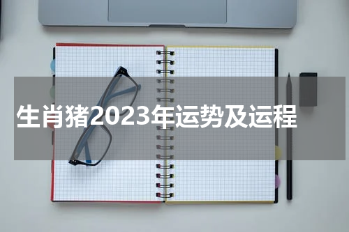 生肖猪2023年运势及运程