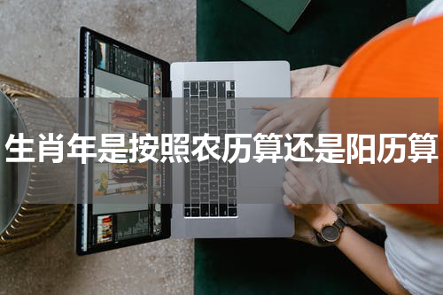 生肖年是按照农历算还是阳历算