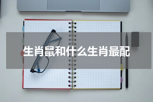 生肖鼠和什么生肖最配