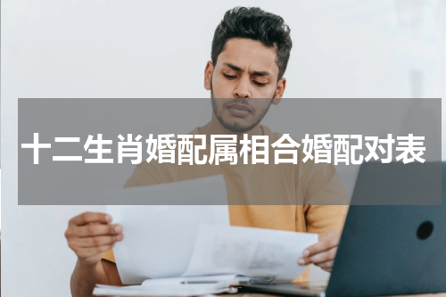 十二生肖婚配属相合婚配对表