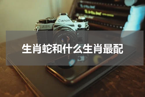生肖蛇和什么生肖最配