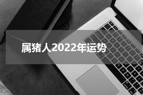 属猪人2022年运势