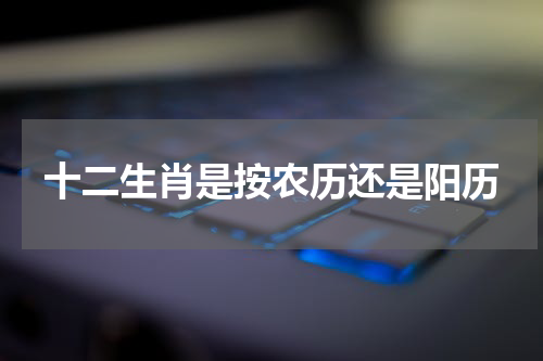 十二生肖是按农历还是阳历