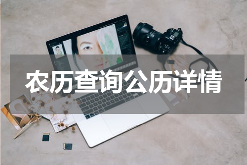 农历查询公历详情