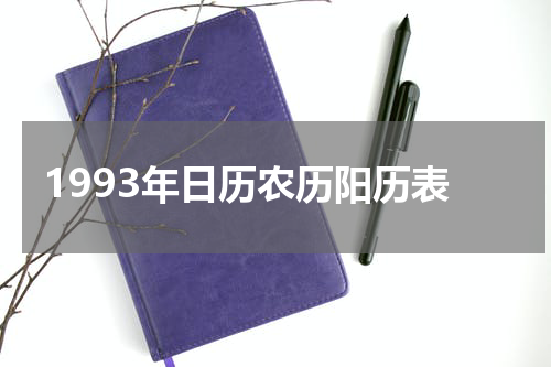 1993年日历农历阳历表