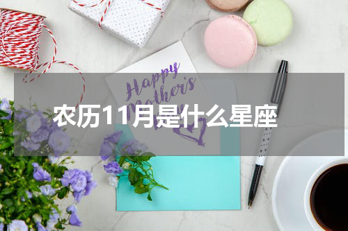 农历11月是什么星座