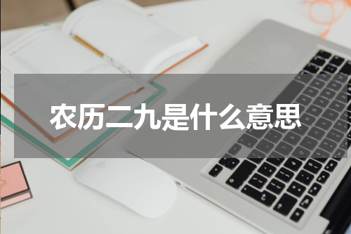 农历二九是什么意思