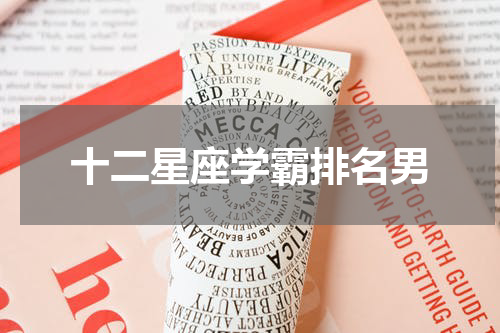 十二星座学霸排名男