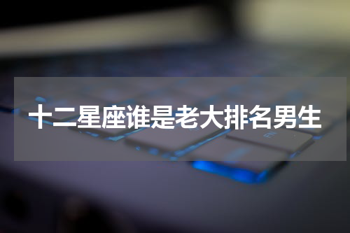 十二星座谁是老大排名男生