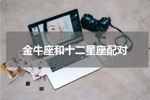 金牛座和十二星座配对