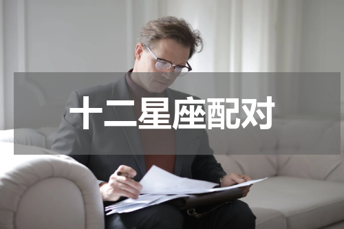 十二星座配对