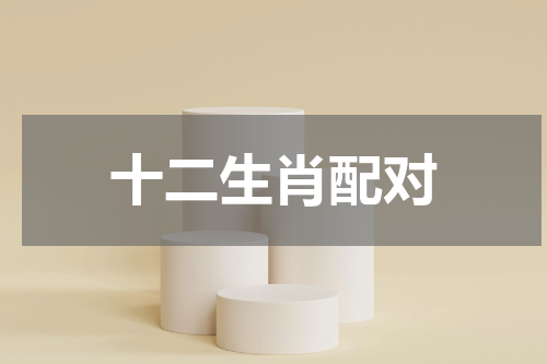 十二生肖配对