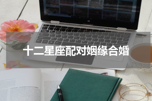 十二星座配对姻缘合婚