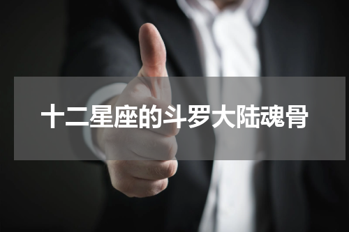 十二星座的斗罗大陆魂骨