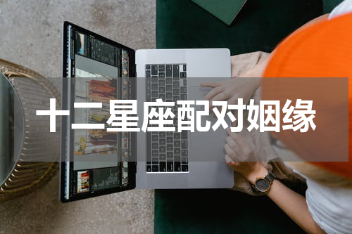 十二星座配对姻缘