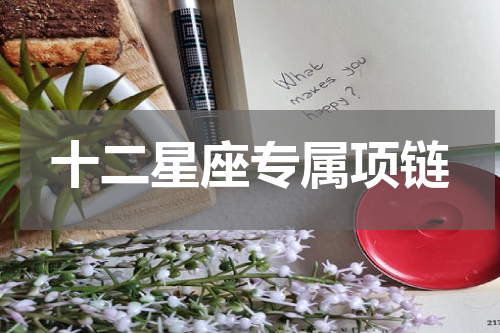 十二星座专属项链