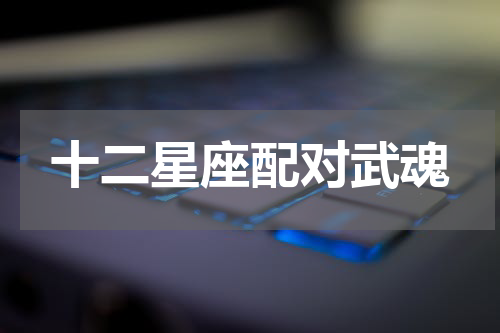 十二星座配对武魂