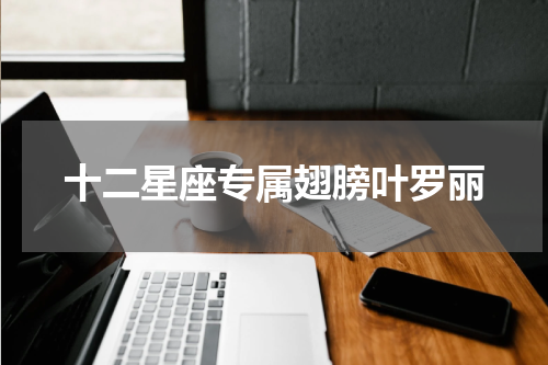 十二星座专属翅膀叶罗丽