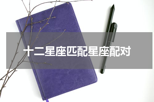十二星座匹配星座配对