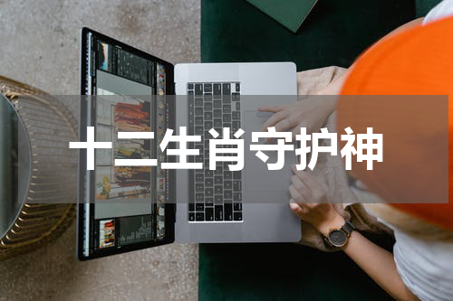 十二生肖守护神