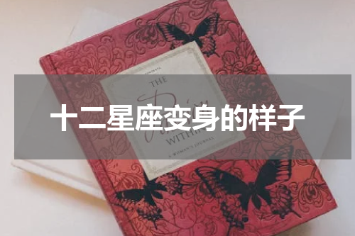 十二星座变身的样子