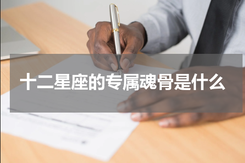 十二星座的专属魂骨是什么