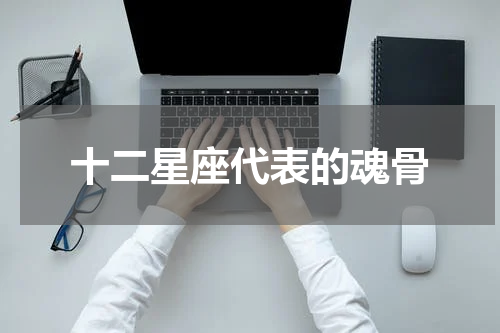 十二星座代表的魂骨