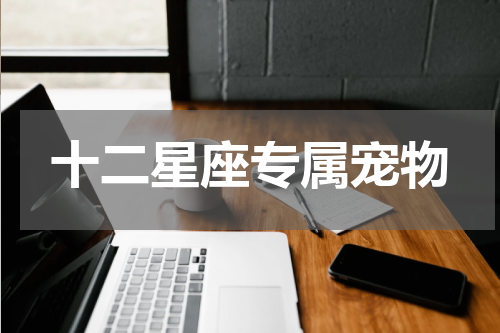 十二星座专属宠物