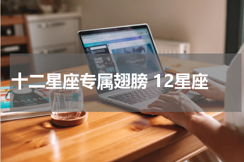 十二星座专属翅膀 12星座
