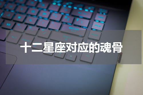 十二星座对应的魂骨