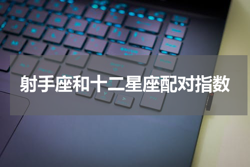 射手座和十二星座配对指数