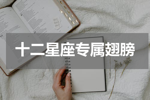 十二星座专属翅膀