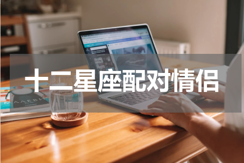 十二星座配对情侣