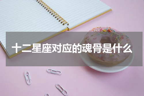 十二星座对应的魂骨是什么