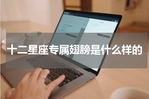 十二星座专属翅膀是什么样的