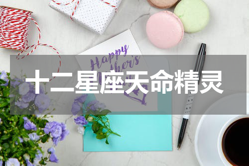 十二星座天命精灵