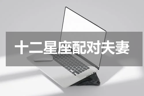 十二星座配对夫妻