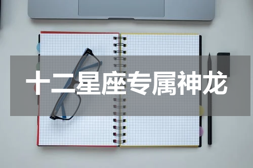 十二星座专属神龙