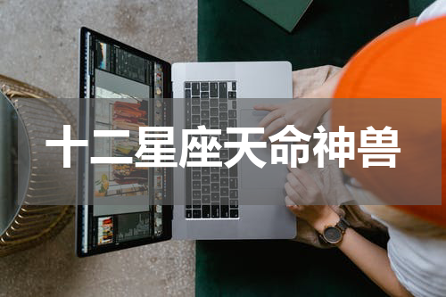 十二星座天命神兽