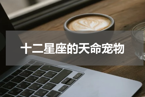 十二星座的天命宠物