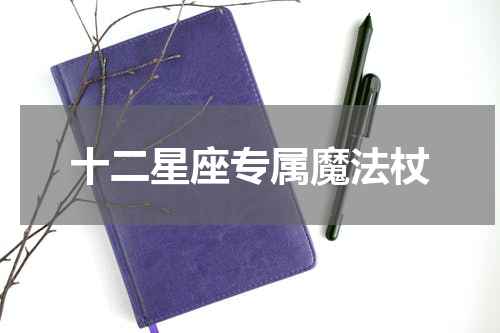 十二星座专属魔法杖