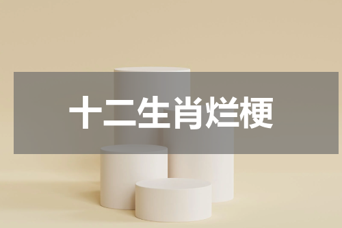 十二生肖烂梗
