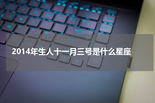 2014年生人十一月三号是什么星座
