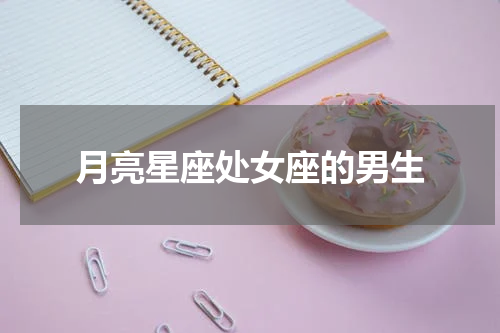 月亮星座处女座的男生