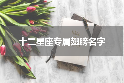 十二星座专属翅膀名字