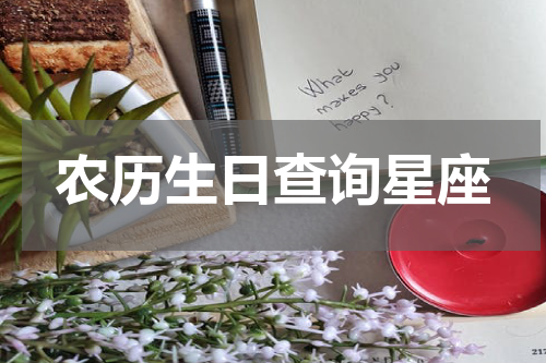 农历生日查询星座